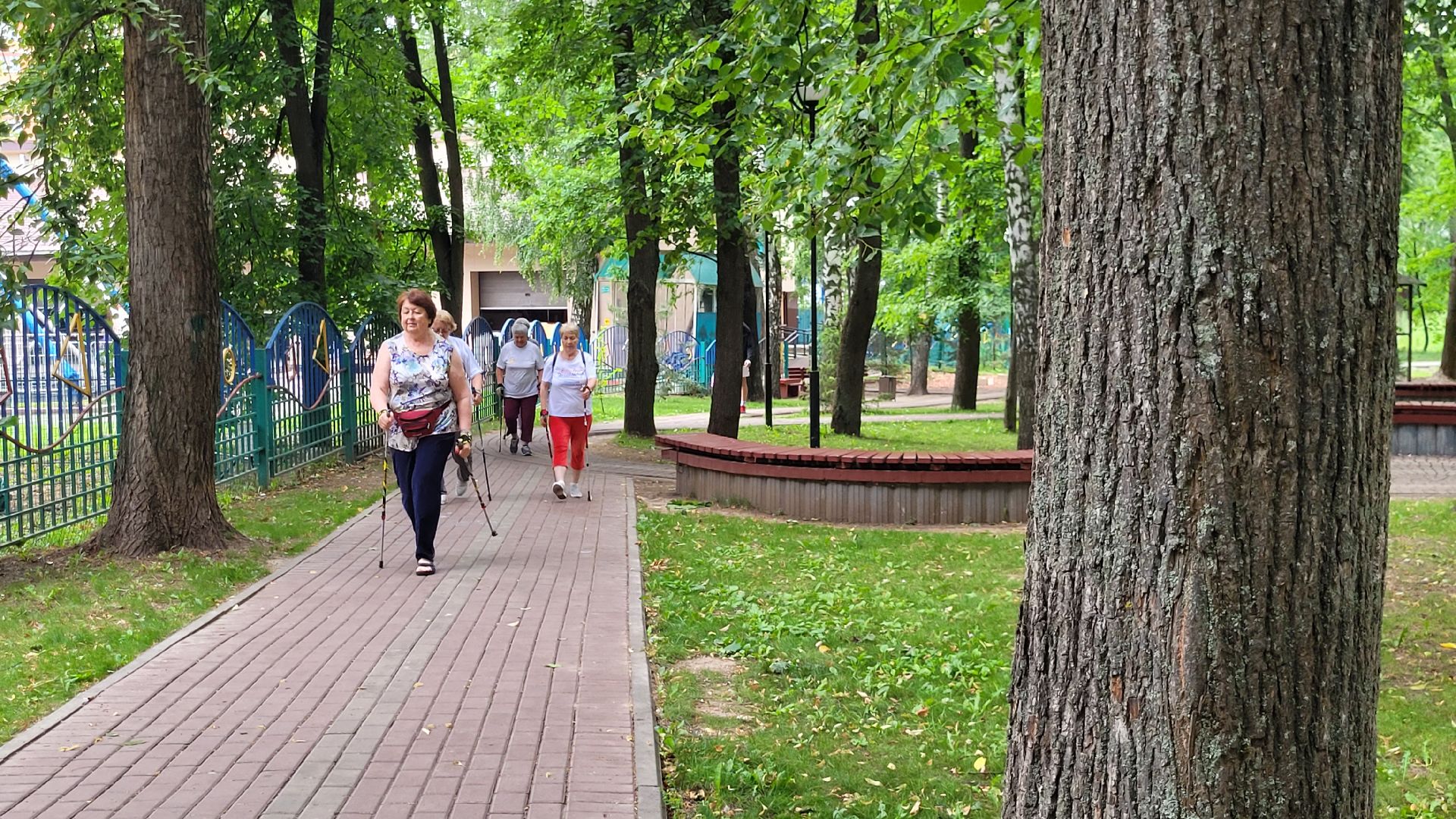 активное долголетие; скандинавская ходьба; здоровье; видное