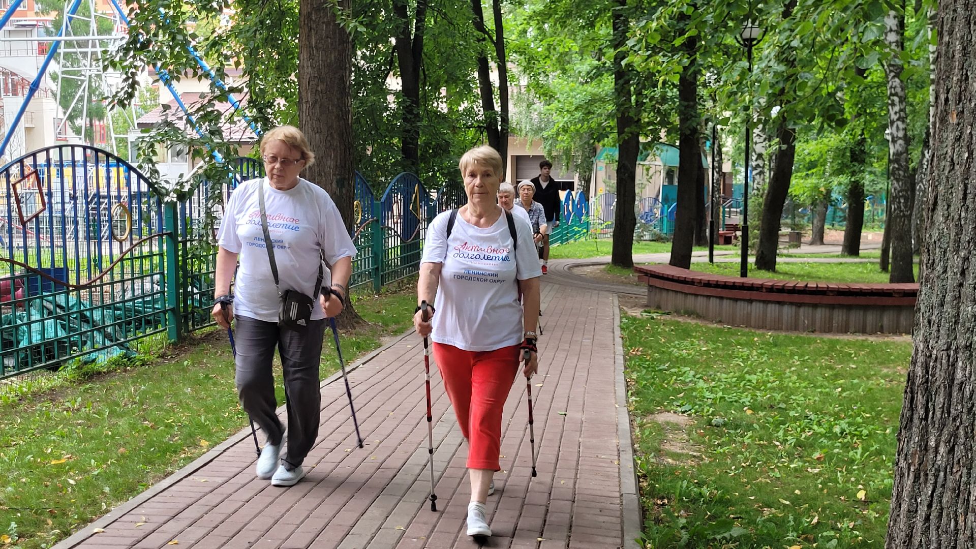активное долголетие; скандинавская ходьба; здоровье; видное