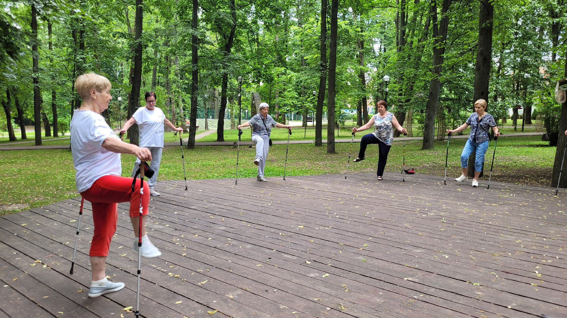 активное долголетие; скандинавская ходьба; здоровье; видное