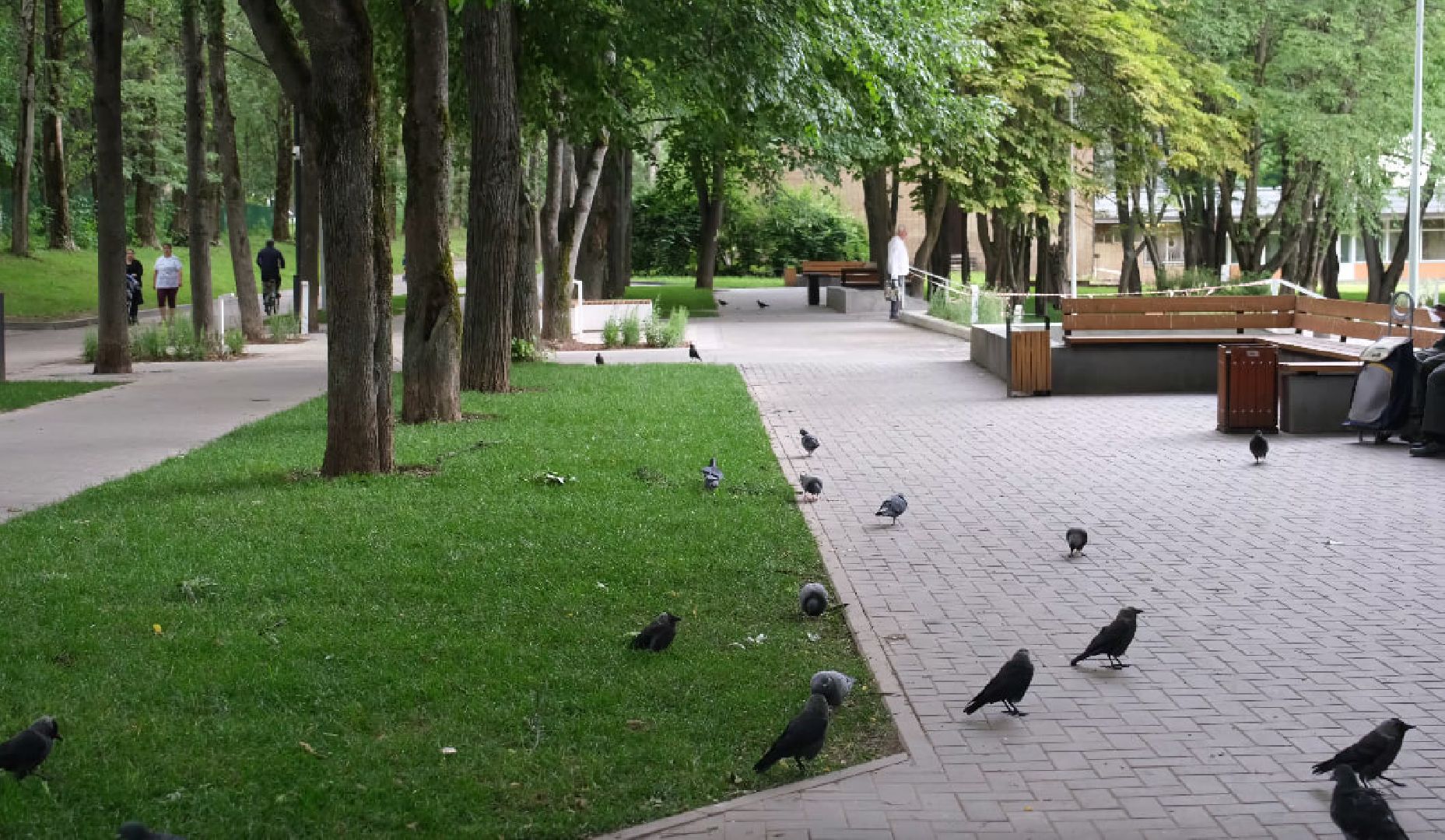 Пущино, благоустройство