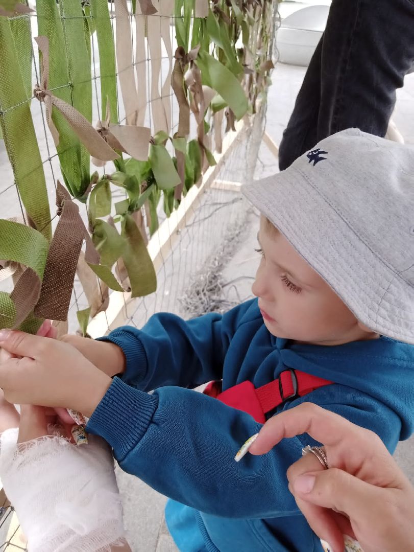 Шаховская, волонтеры, штаб помощи