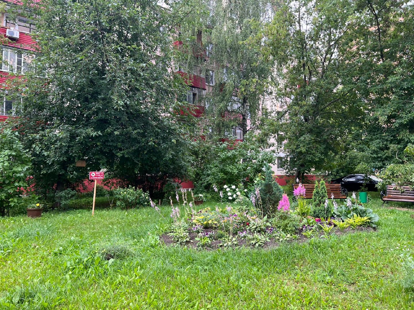 Реутов, благоустройство, ЖКХ, деревья, ивы