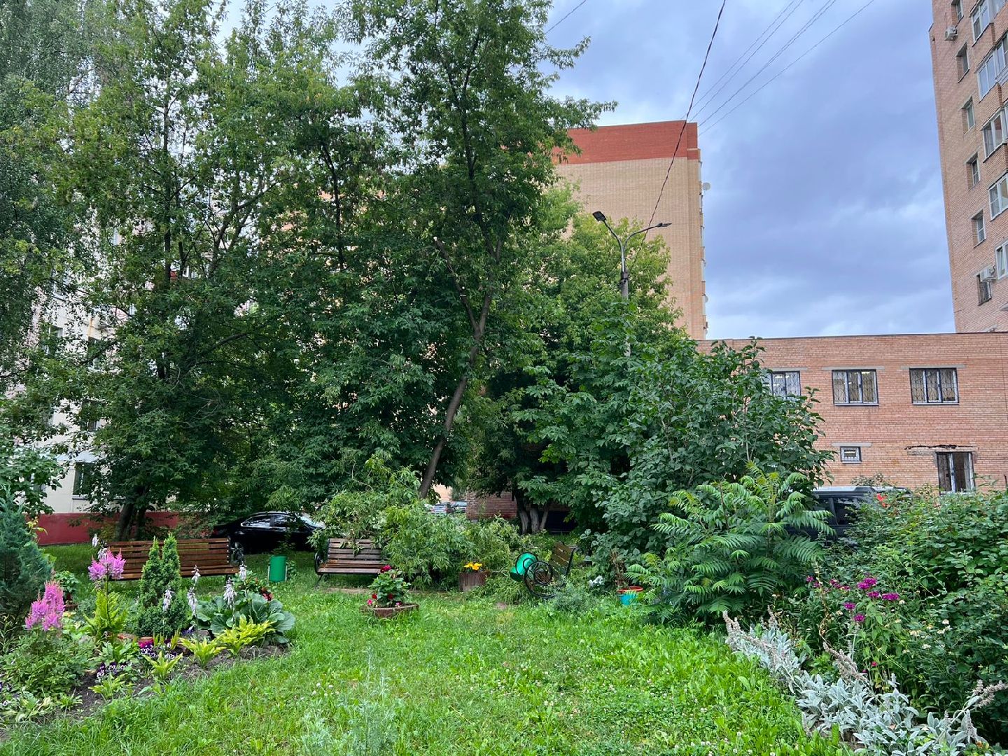 Реутов, благоустройство, ЖКХ, деревья, ивы