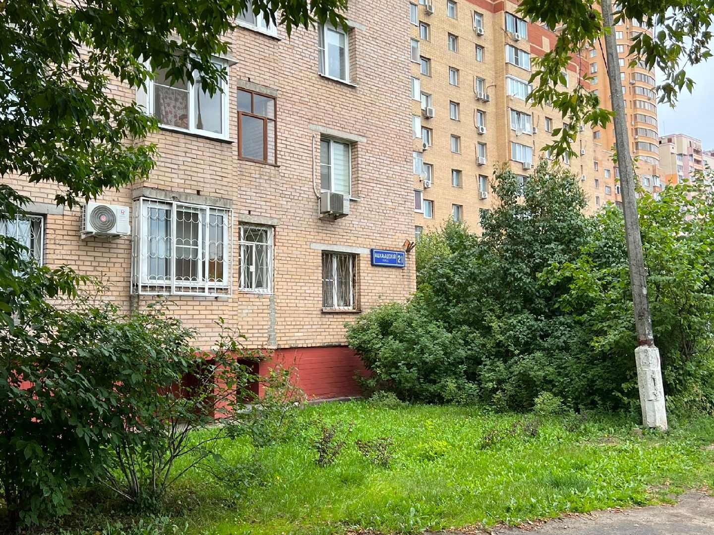 Реутов, благоустройство, ЖКХ, деревья, ивы