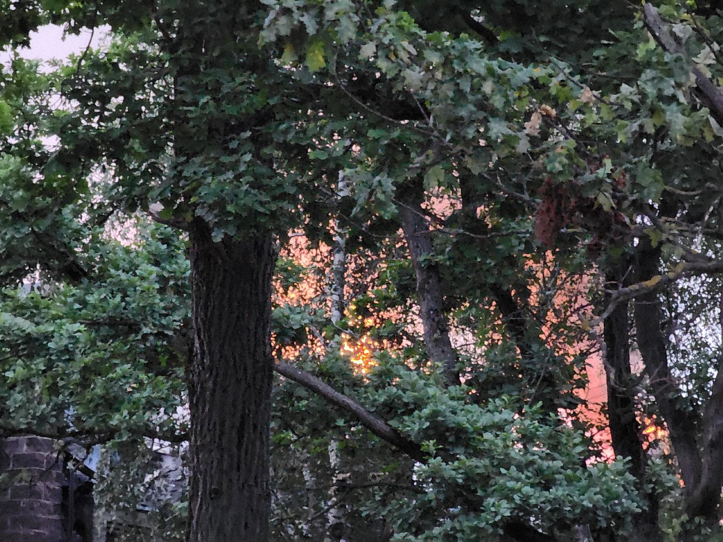 Одинцово, Немчиновка, пожар, мчс,пожарные,отель,