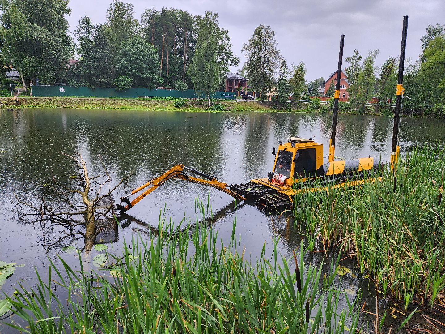 Немчиновка, пруд, Минэкологии, администрация, очистка, одинцово,