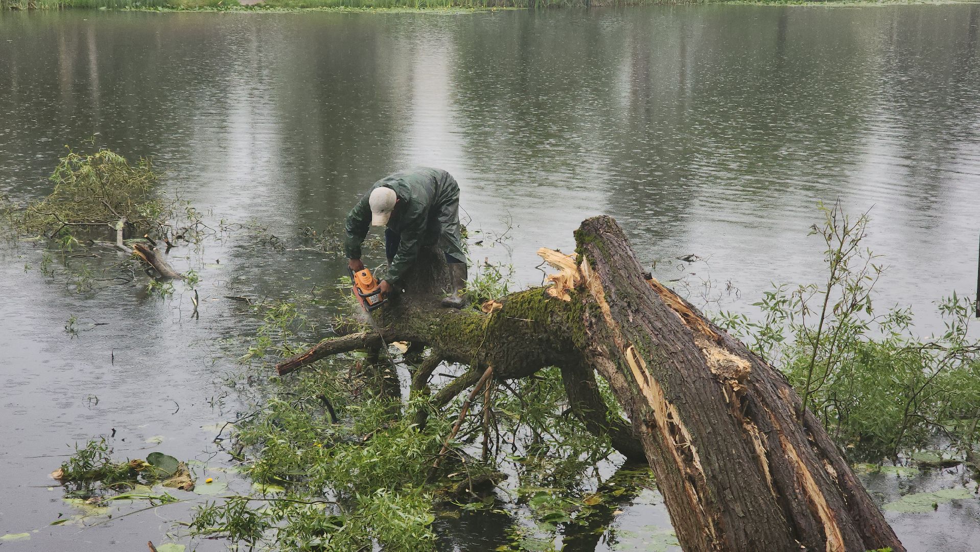 Немчиновка, пруд, Минэкологии, администрация, очистка, одинцово,