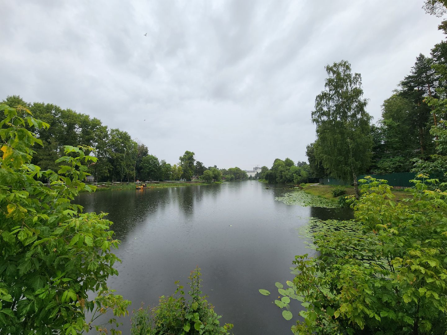 Немчиновка, пруд, Минэкологии, администрация, очистка, одинцово,