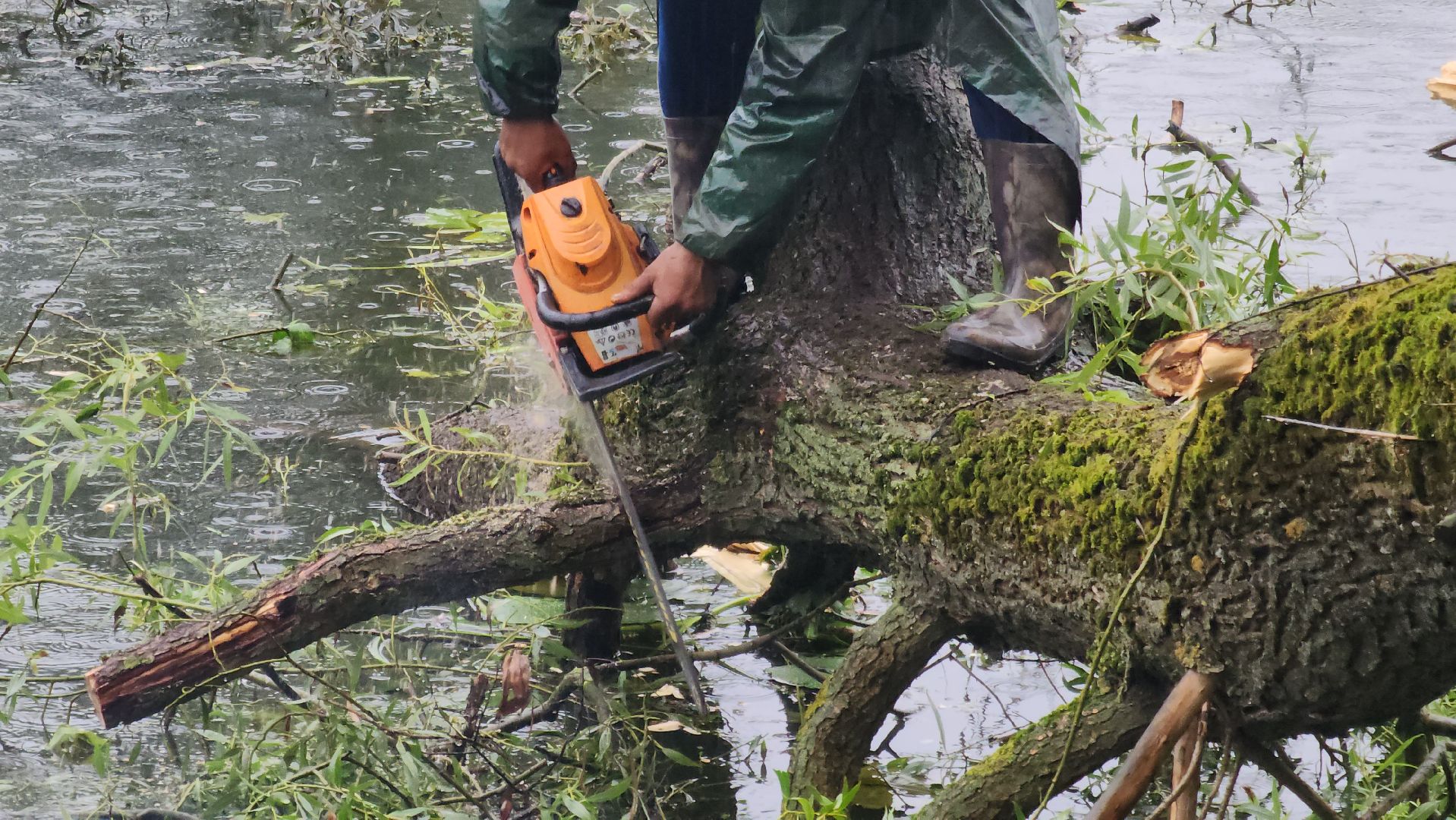 Немчиновка, пруд, Минэкологии, администрация, очистка, одинцово,