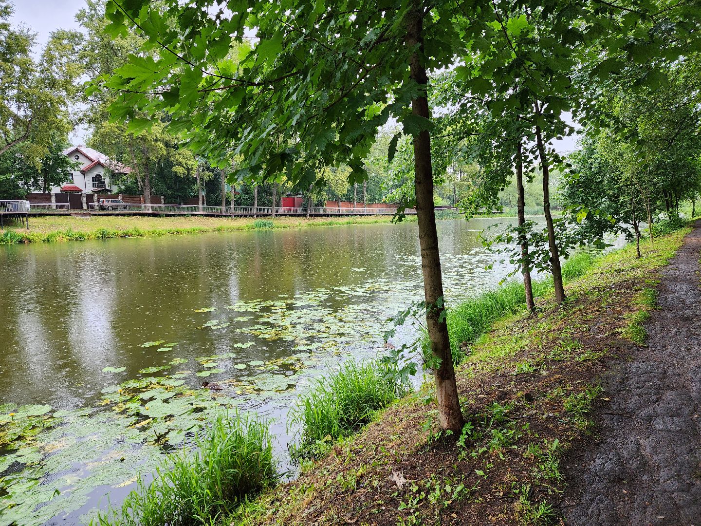 Немчиновка, пруд, Минэкологии, администрация, очистка, одинцово,