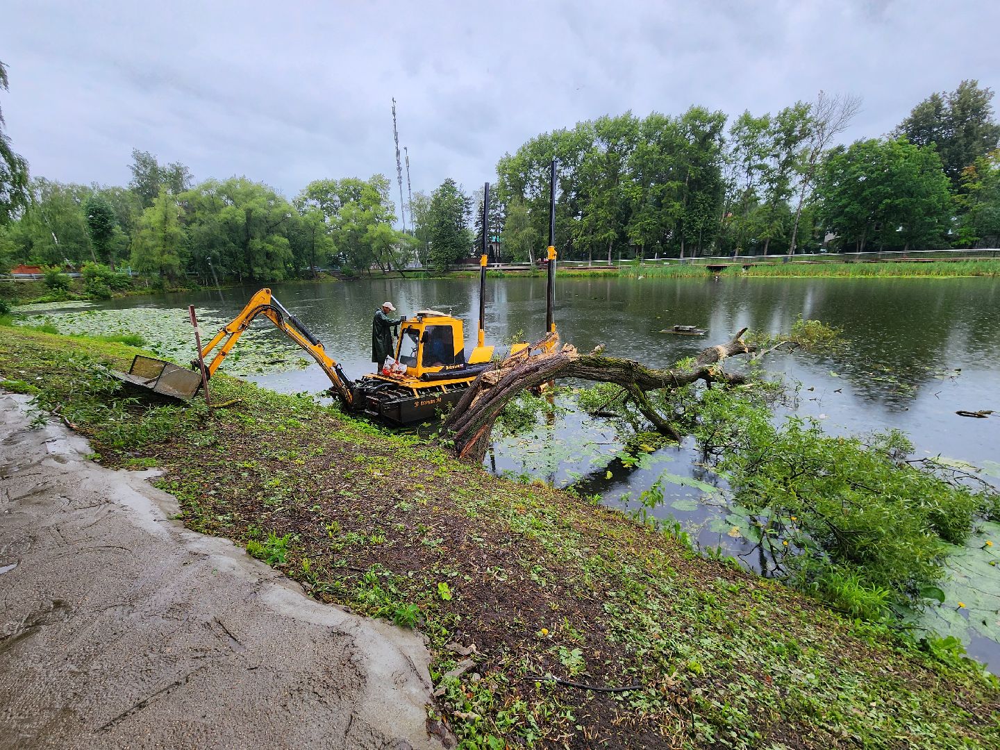 Немчиновка, пруд, Минэкологии, администрация, очистка, одинцово,