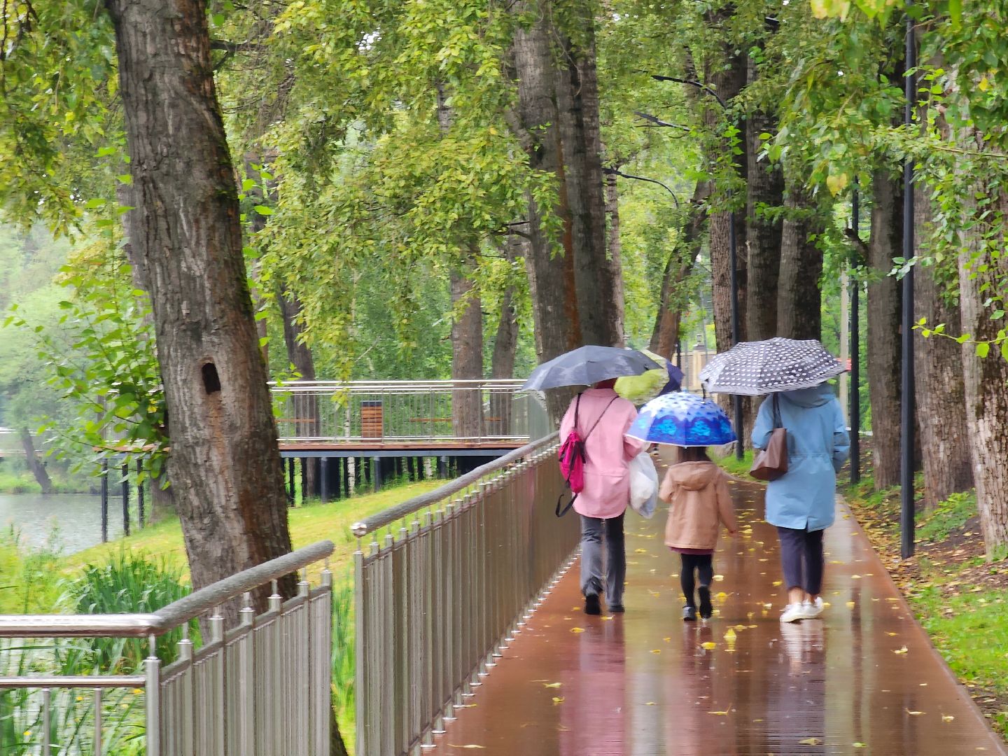 Немчиновка, пруд, Минэкологии, администрация, очистка, одинцово,