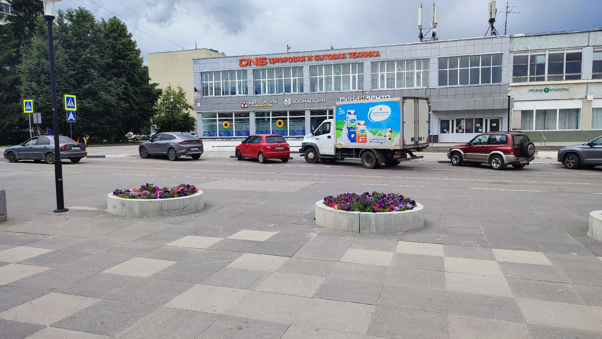 Кашира, благоустройство, цветы, клумбы, петунья ампельная