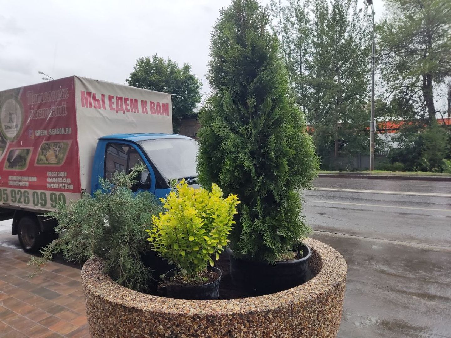 Одинцово, Благоустройство, Общество, Озеленение