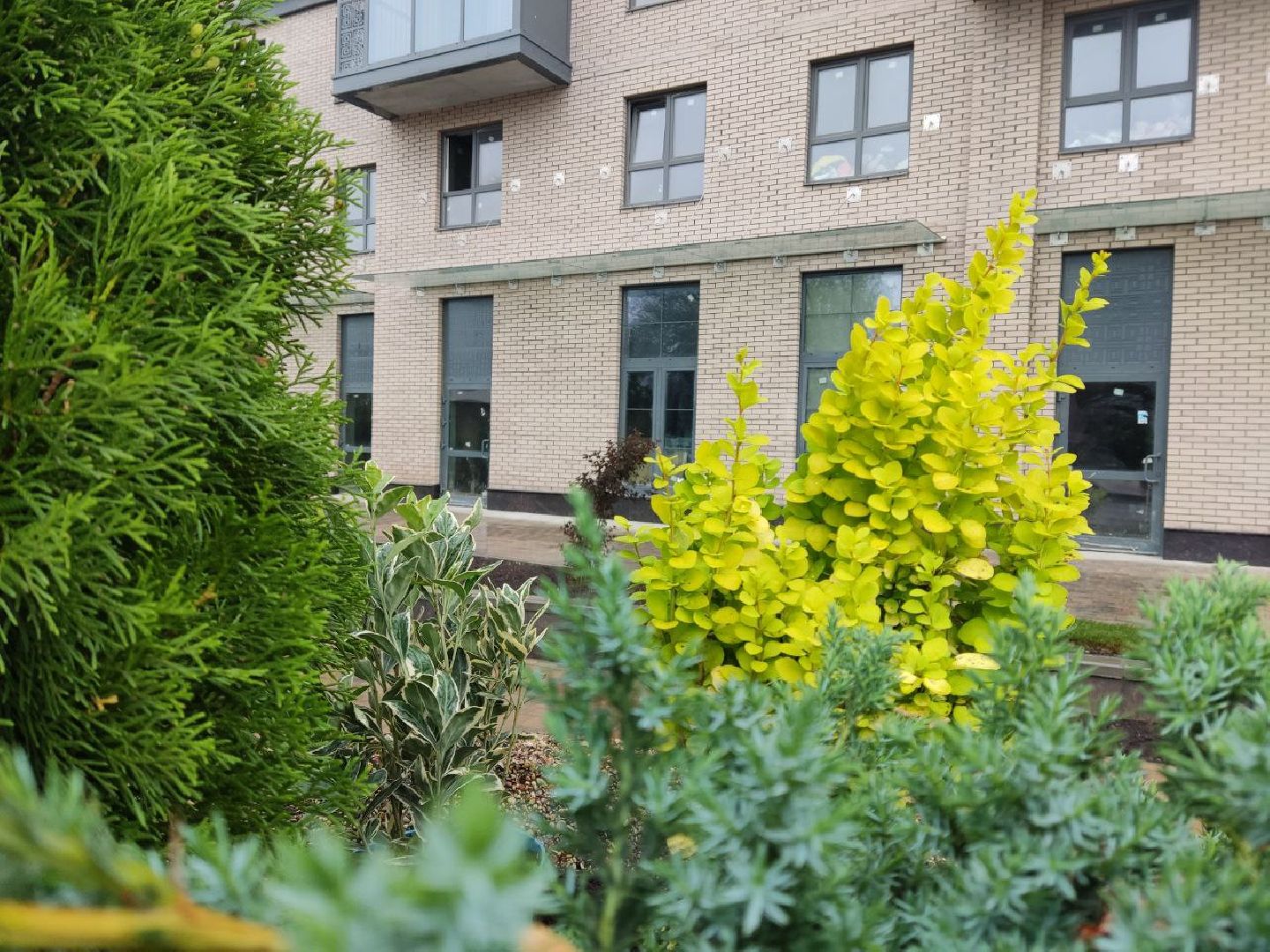 Одинцово, Благоустройство, Общество, Озеленение