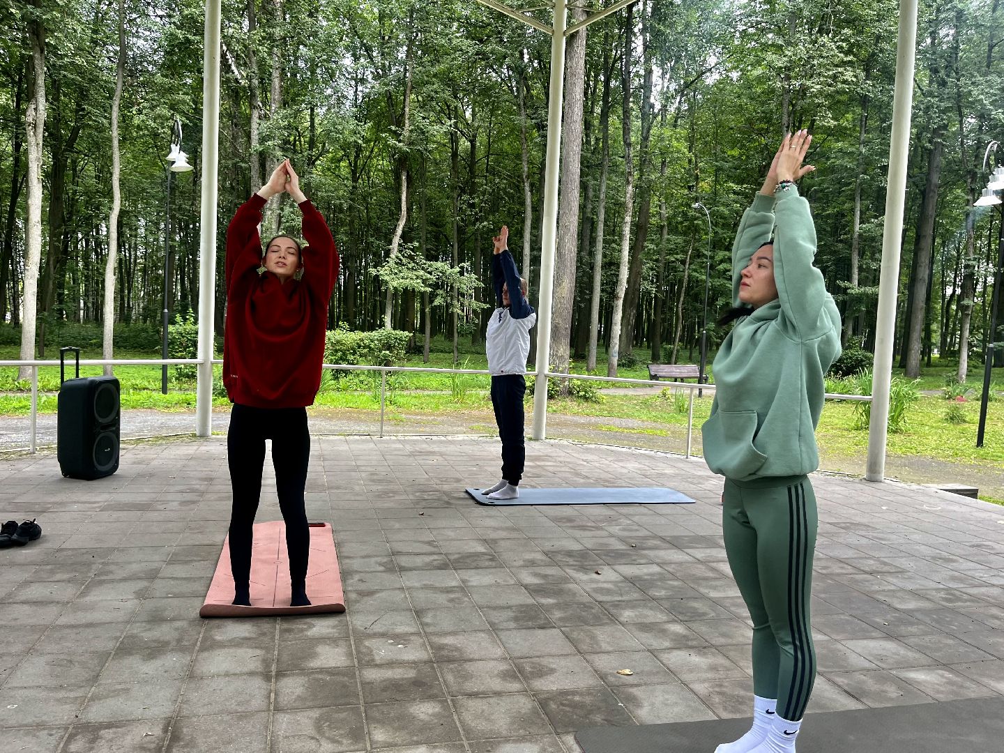 Наро-Фоминск, центральный парк, лето в Подмосковье, ЗОЖ, йога, гвоздестояние