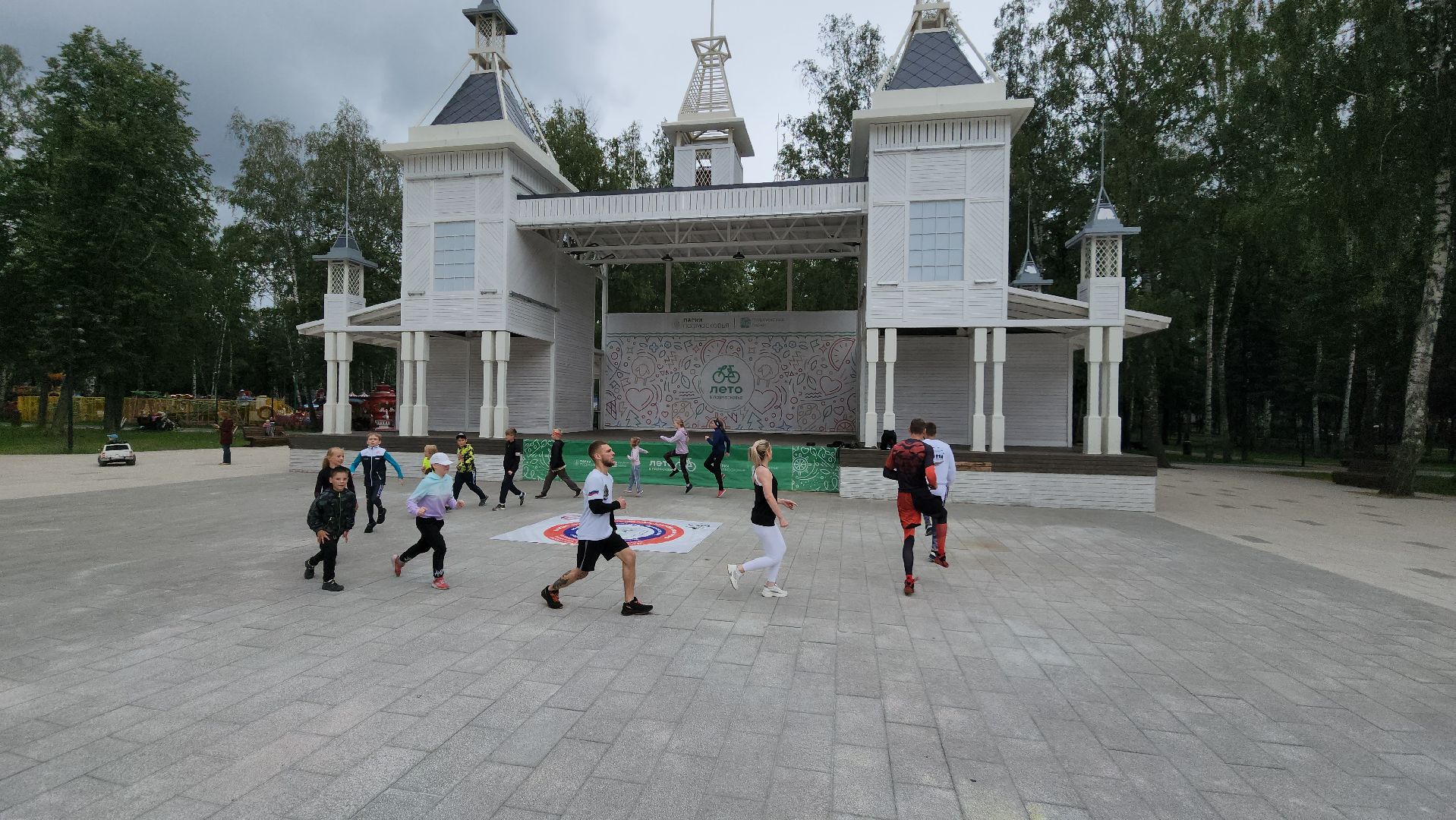 Пушкино, спорт, парки Подмосковья, MMA, дзюдо