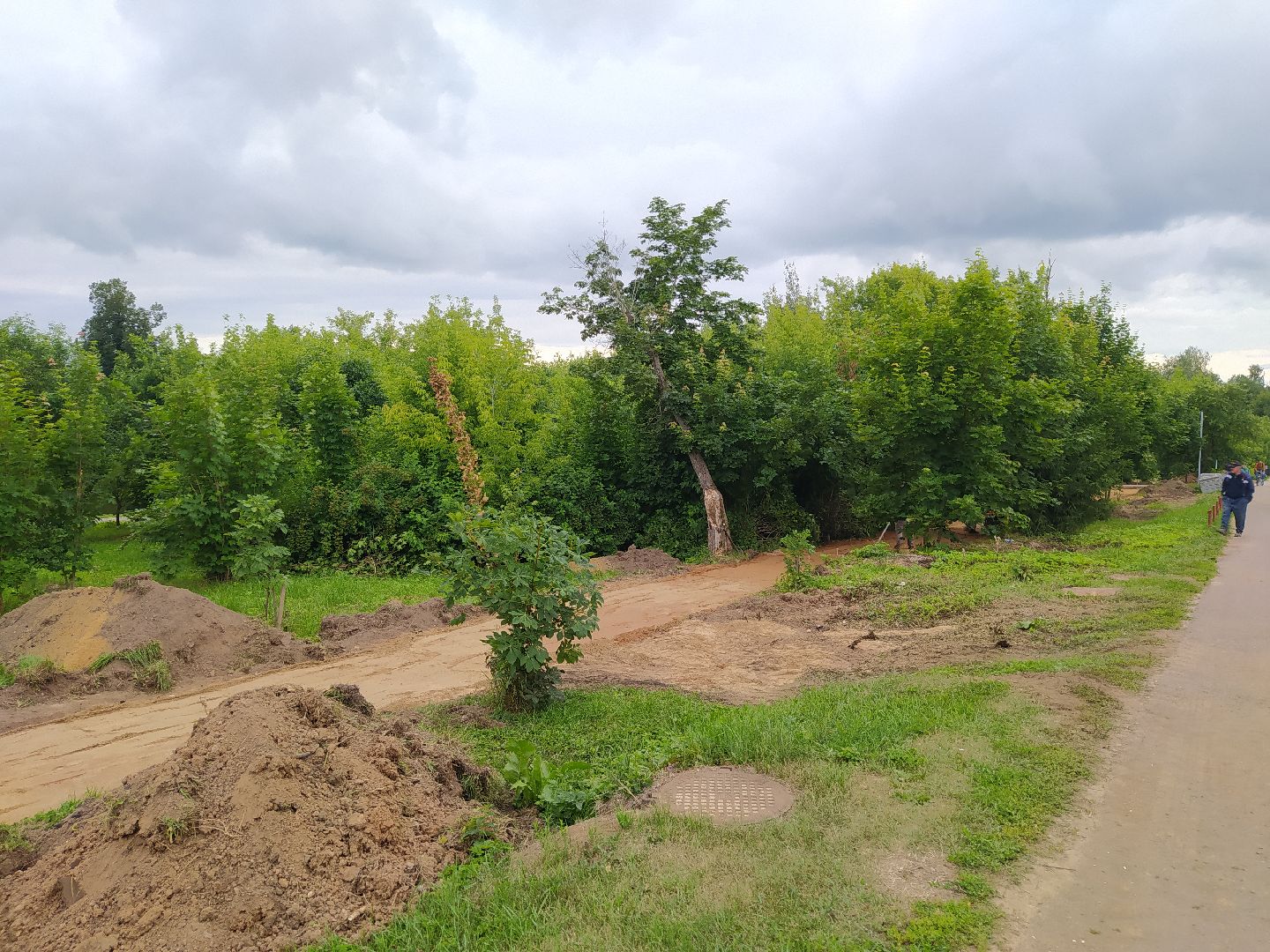 Дедовск, благоустройство, пруд