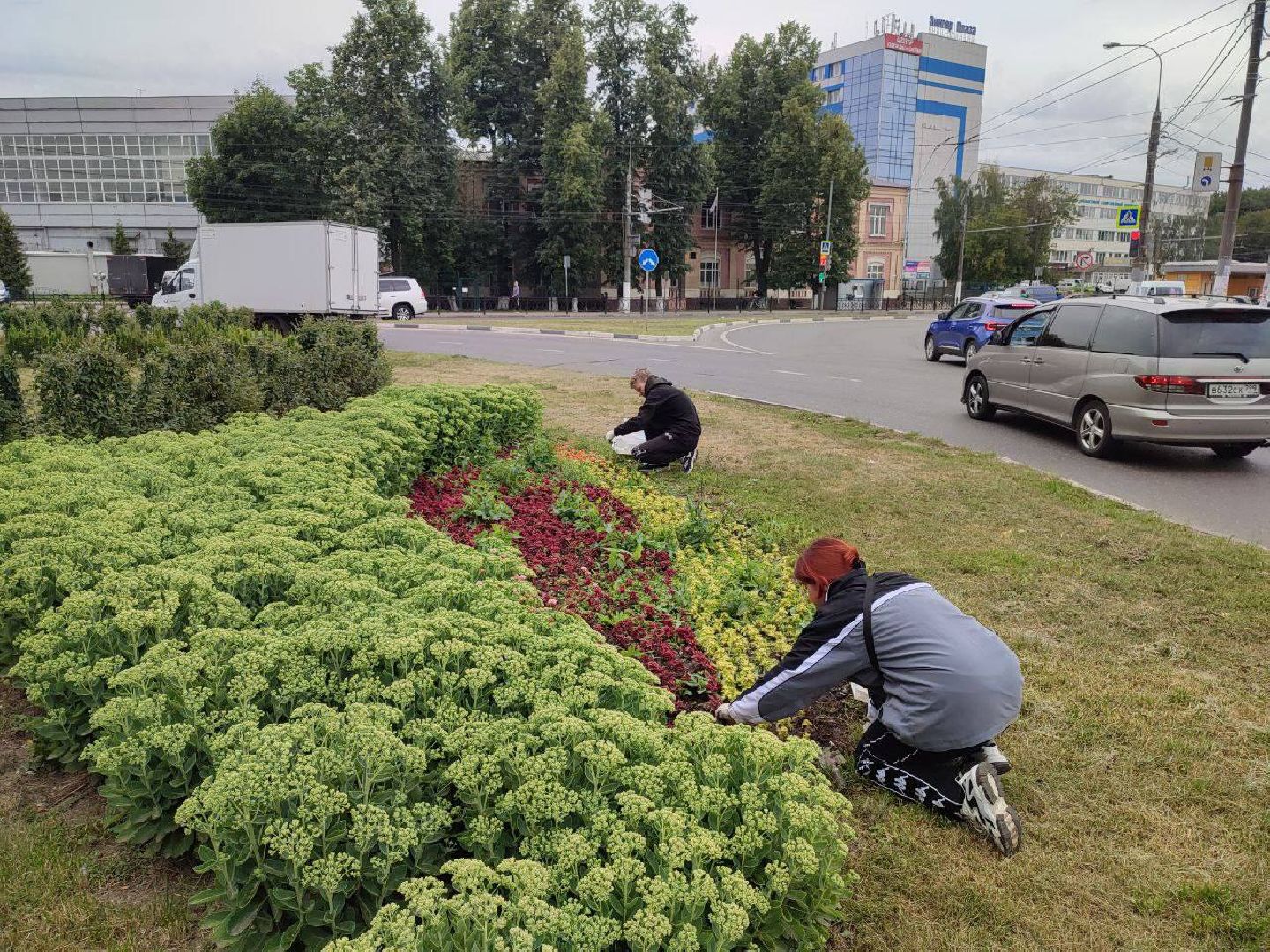 Подольск, клумбы, школьники, цветы, трудовые бригады, благоустройство