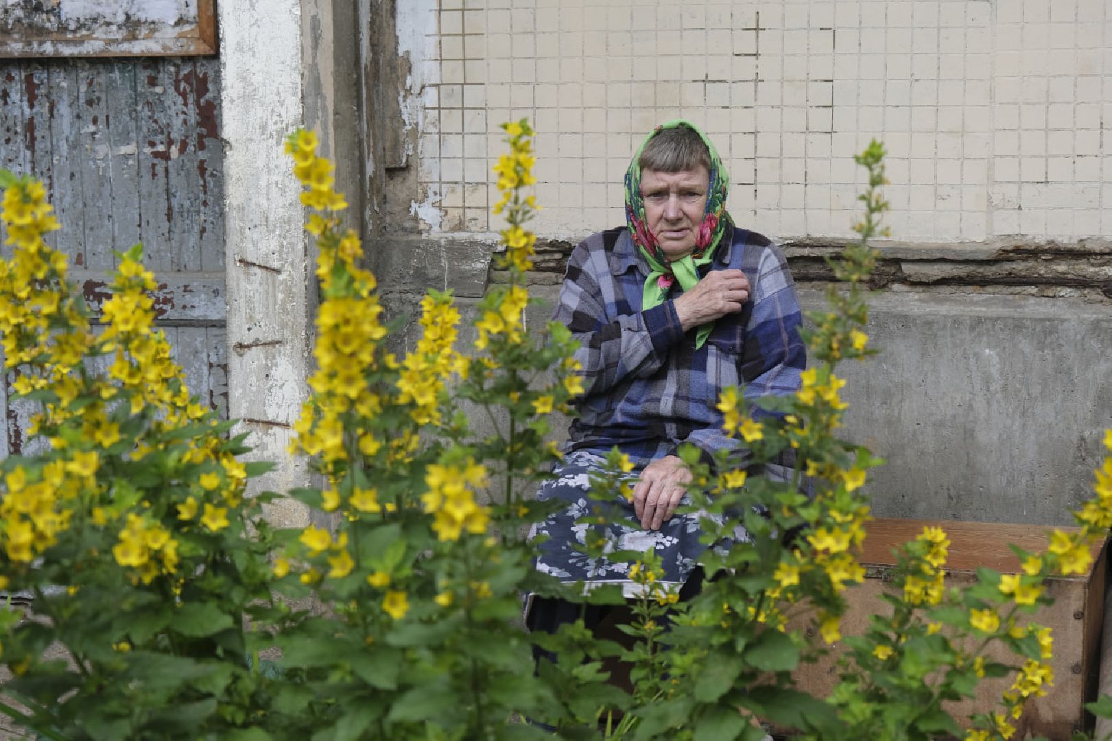 Пущино, благотворительность, волонтеры