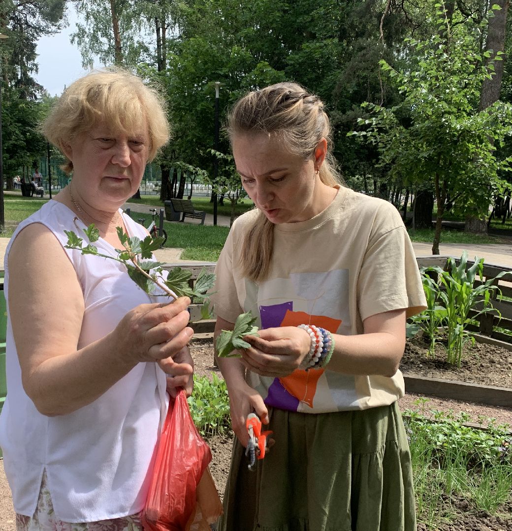 Балашиха, Подмосковье, парки, Аптекарский огород, акции