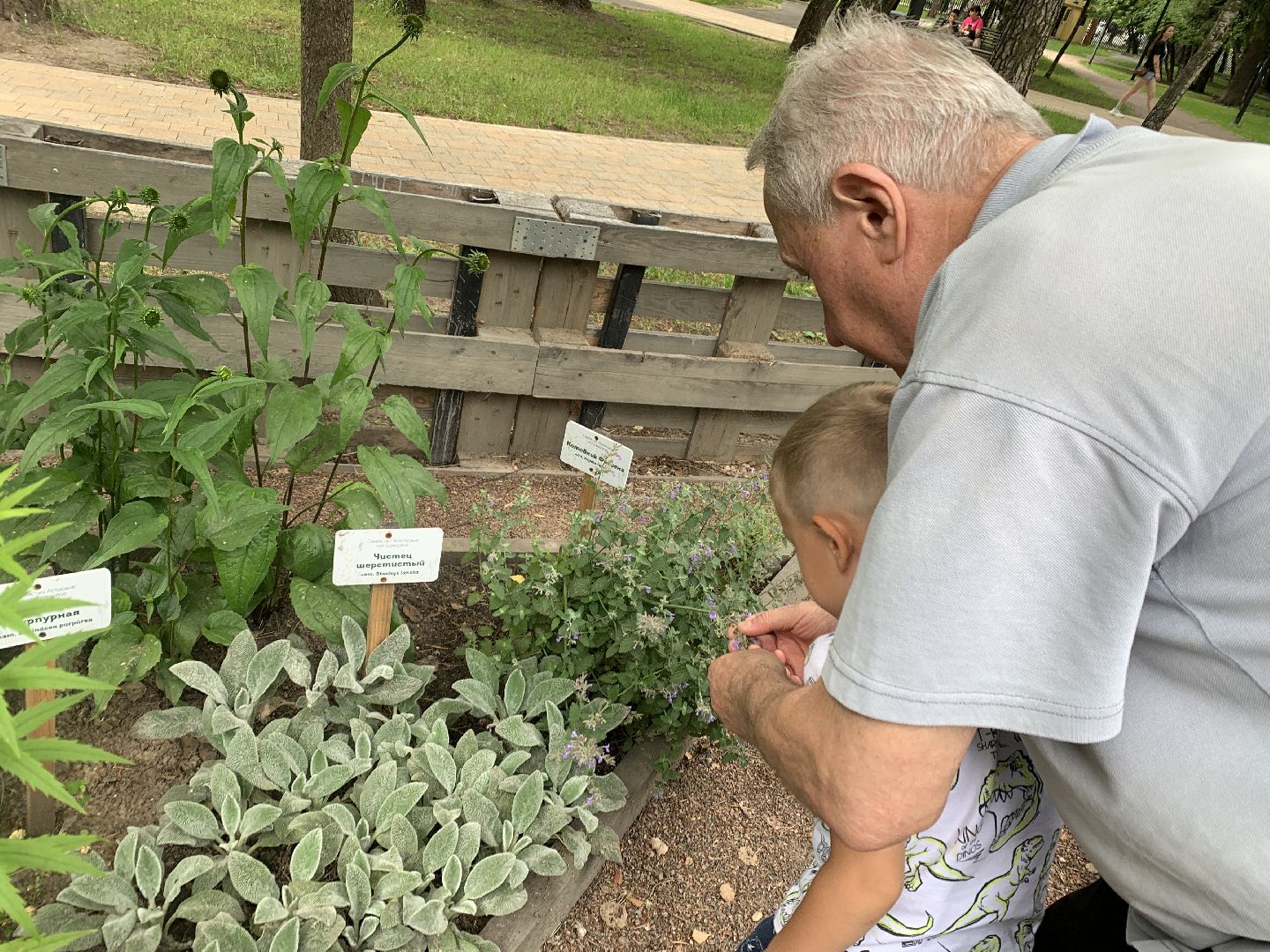 Балашиха, Подмосковье, парки, Аптекарский огород, акции