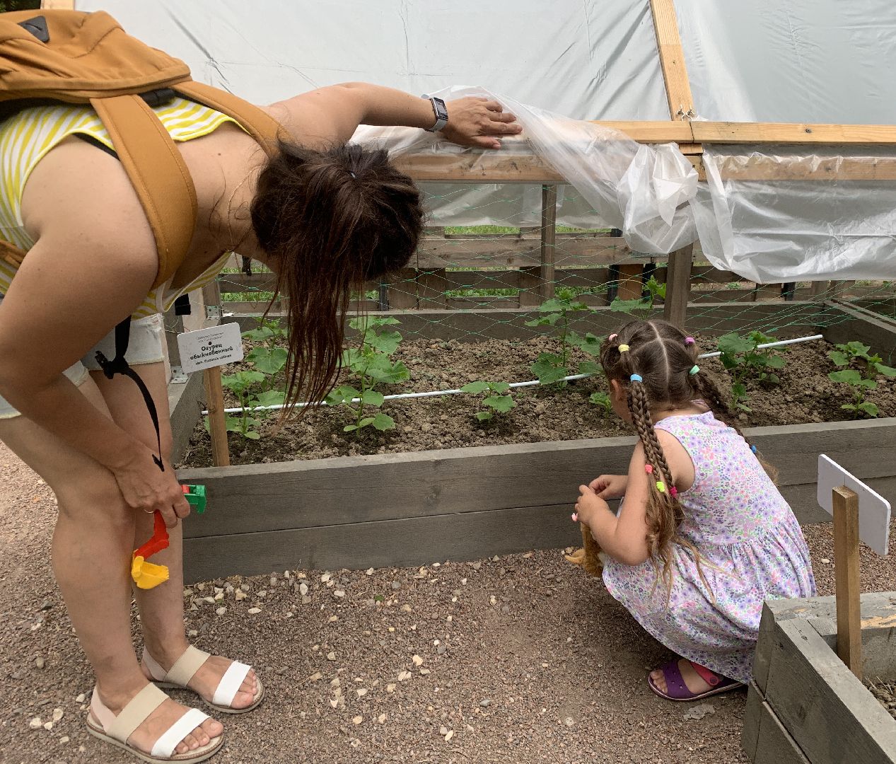 Балашиха, Подмосковье, парки, Аптекарский огород, акции