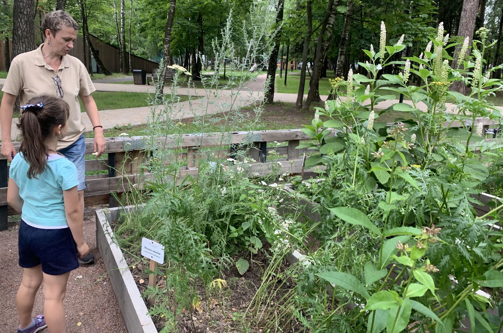 Балашиха, Подмосковье, парки, Аптекарский огород, акции