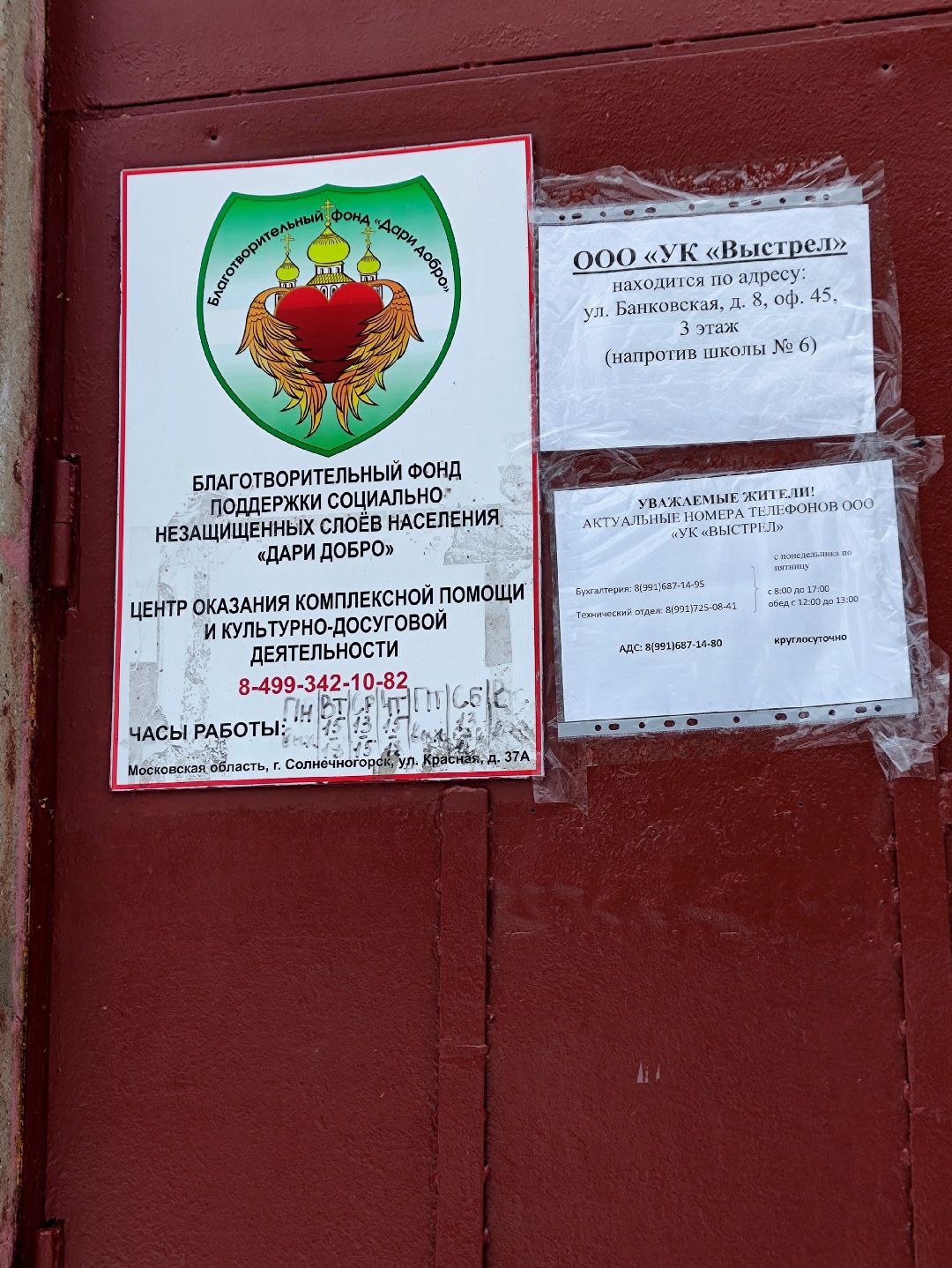 Солнечногорск, общество