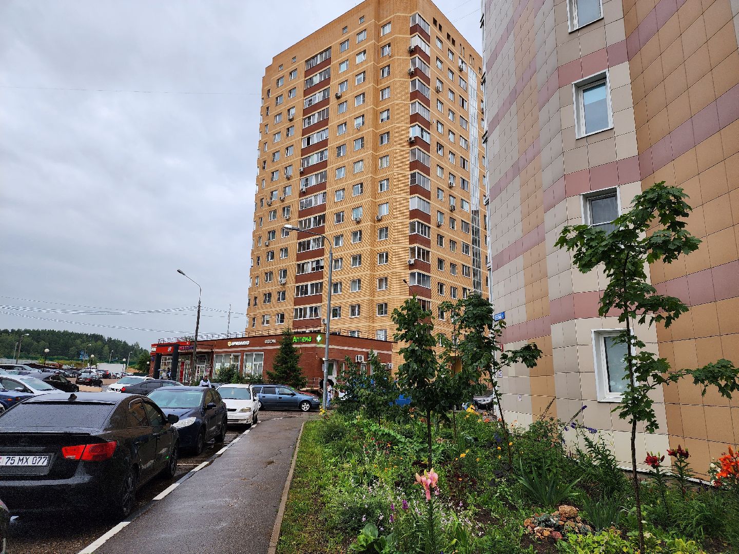 Звенигород, комплексное благоустройство дворов, глава Одинцовского городского округа Андрей Иванов