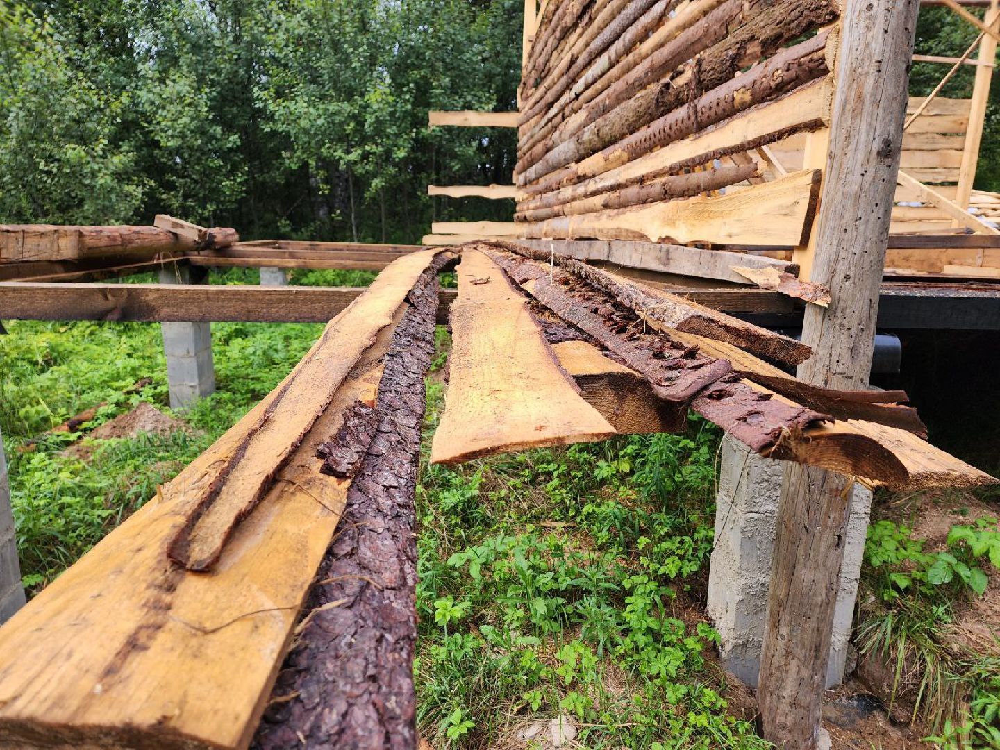 Дмитров, СВО, Ветеран локальных военных конфликтов, Общество, Люди