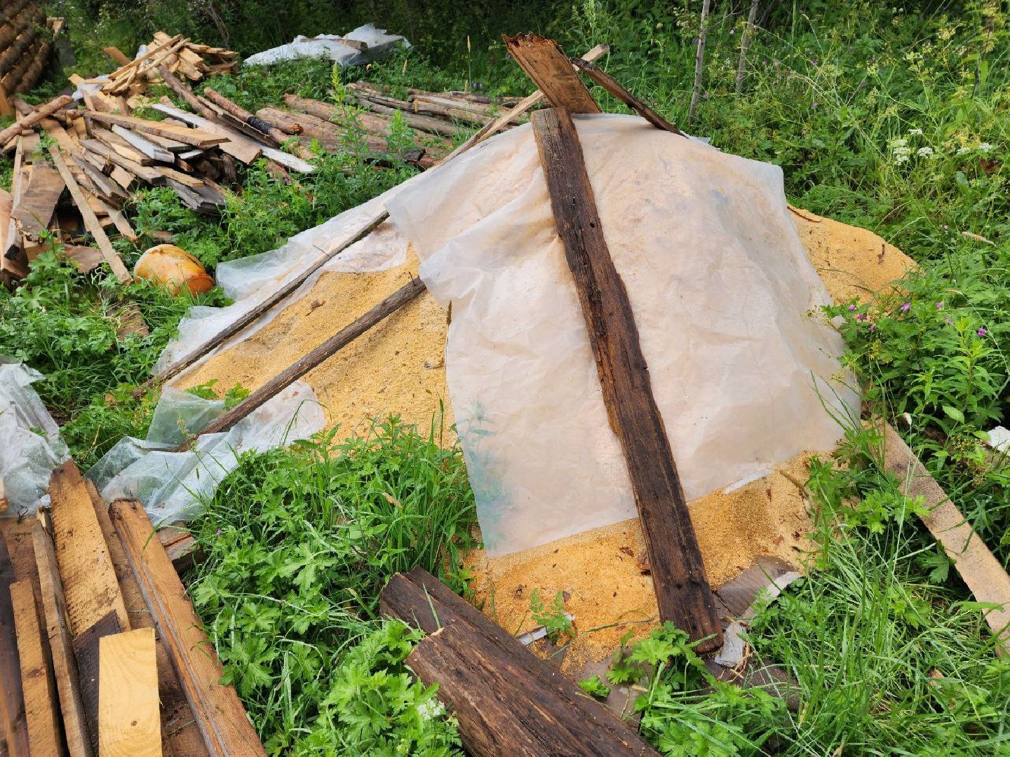 Дмитров, СВО, Ветеран локальных военных конфликтов, Общество, Люди