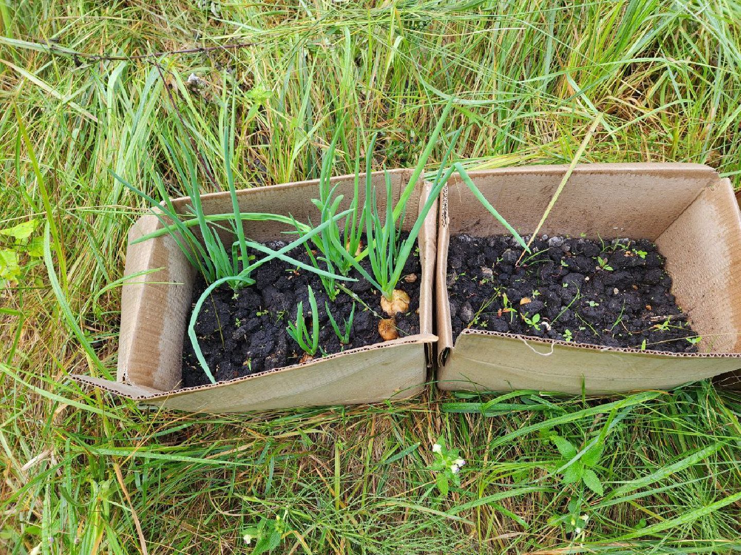 Дмитров, СВО, Ветеран локальных военных конфликтов, Общество, Люди