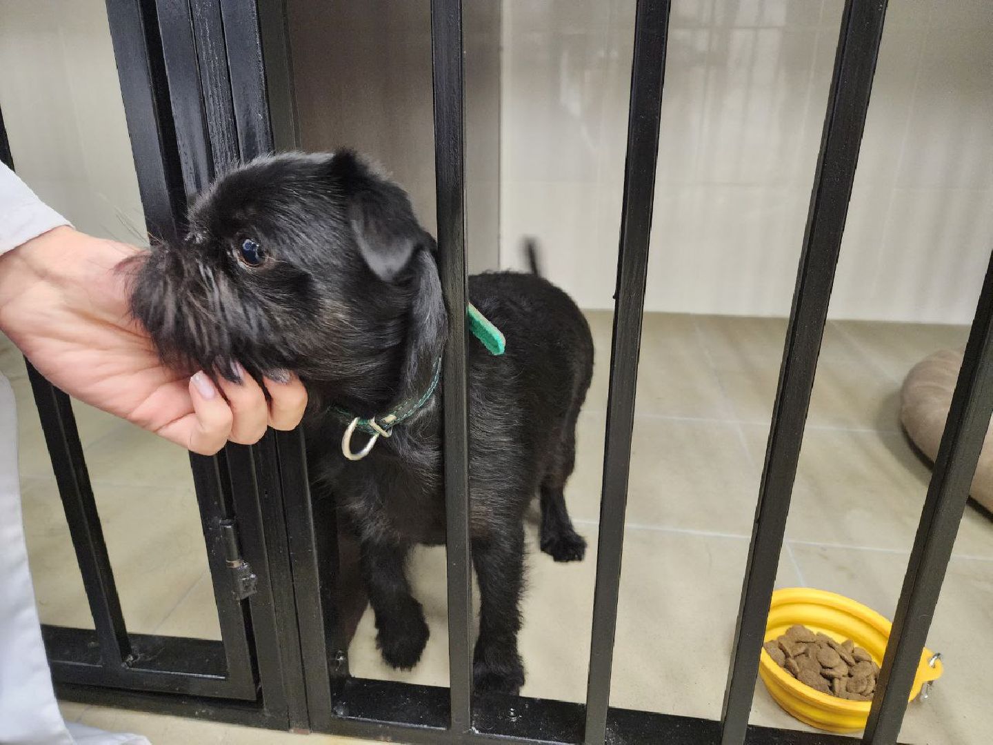 Дмитров, Ветеринарная станция, Минсельхоз МО