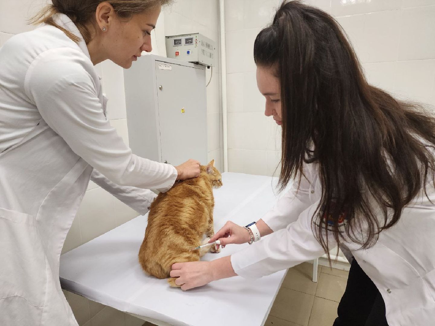 Дмитров, Ветеринарная станция, Минсельхоз МО