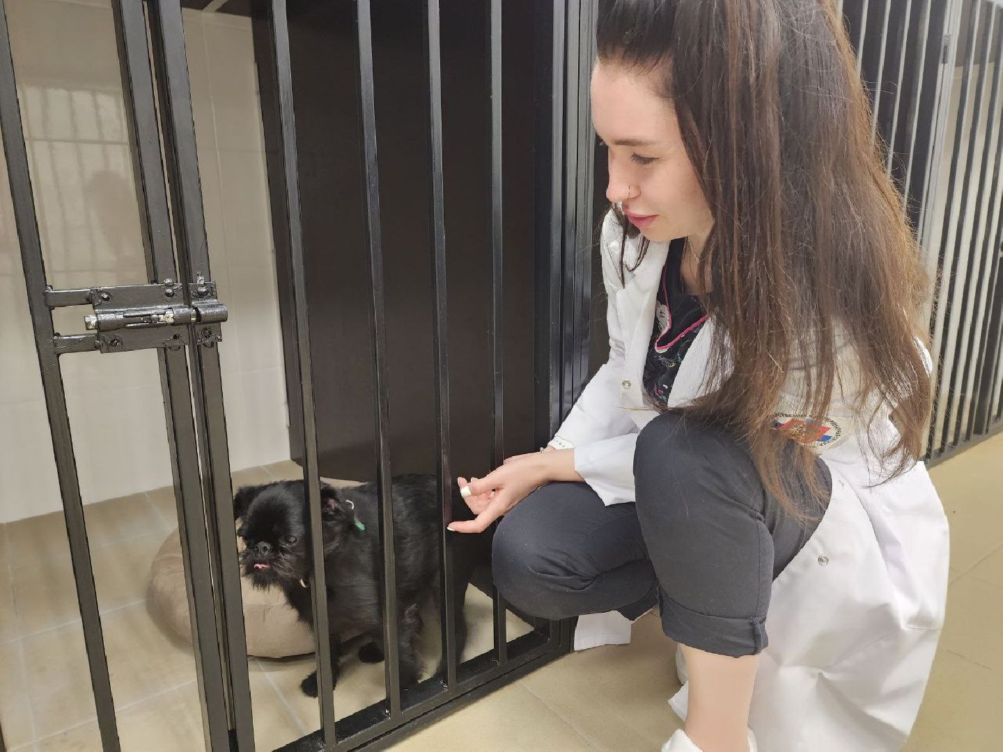 Дмитров, Ветеринарная станция, Минсельхоз МО