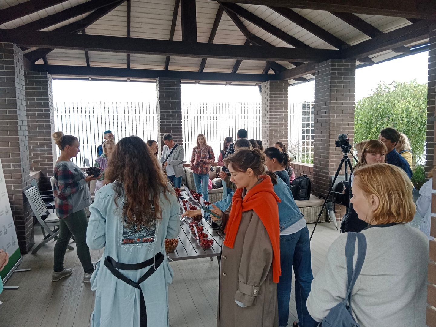 агрофирма, Поиск, дегустация, сортов, ягодных, культур, селекция, Город-сад