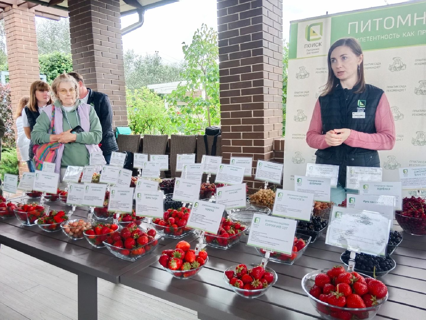 агрофирма, Поиск, дегустация, сортов, ягодных, культур, селекция, Город-сад