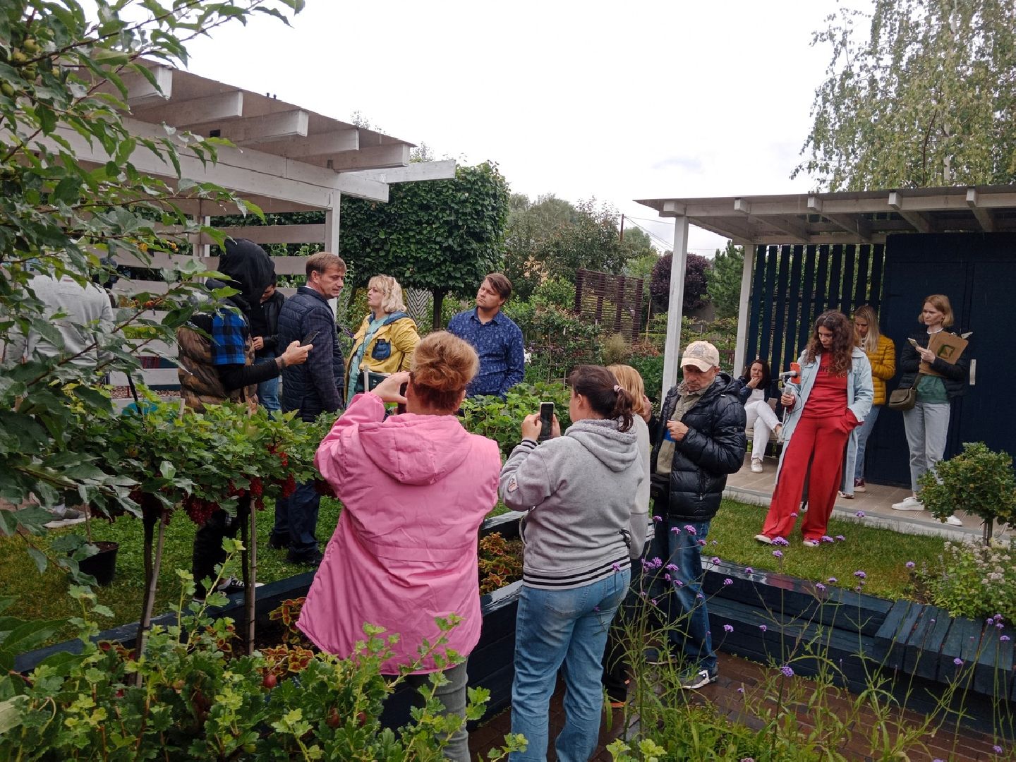 агрофирма, Поиск, дегустация, сортов, ягодных, культур, селекция, Город-сад