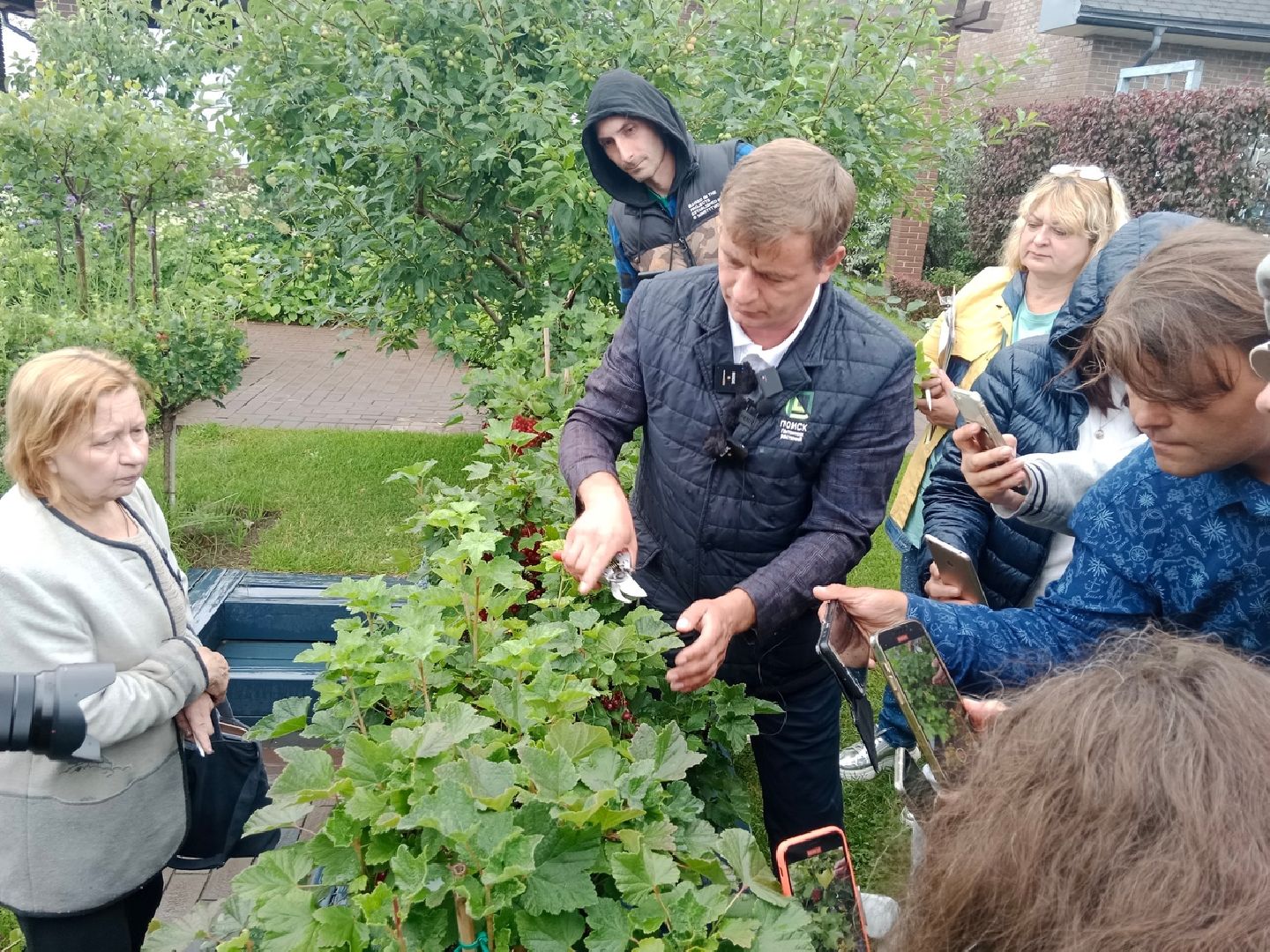 агрофирма, Поиск, дегустация, сортов, ягодных, культур, селекция, Город-сад