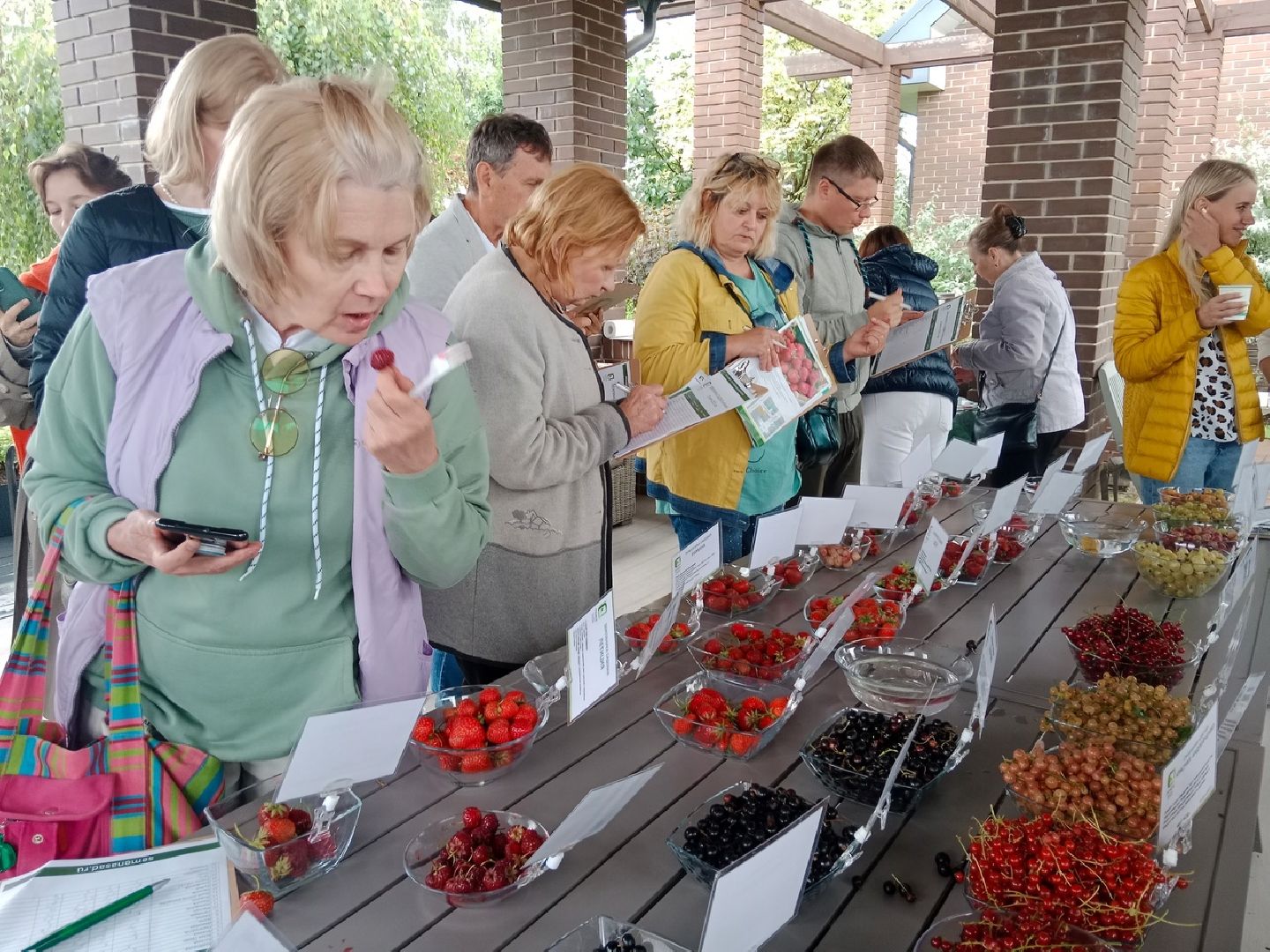 агрофирма, Поиск, дегустация, сортов, ягодных, культур, селекция, Город-сад