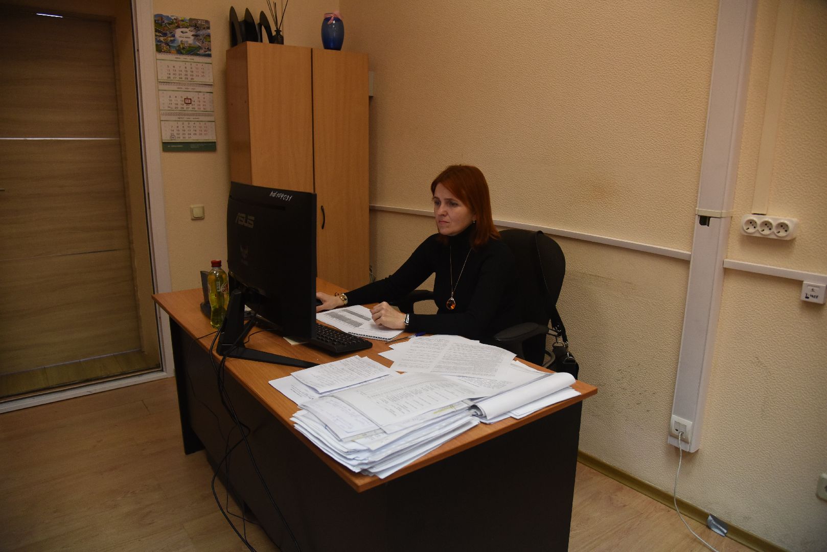 Химки, выборы, ТИК, избирательные участки