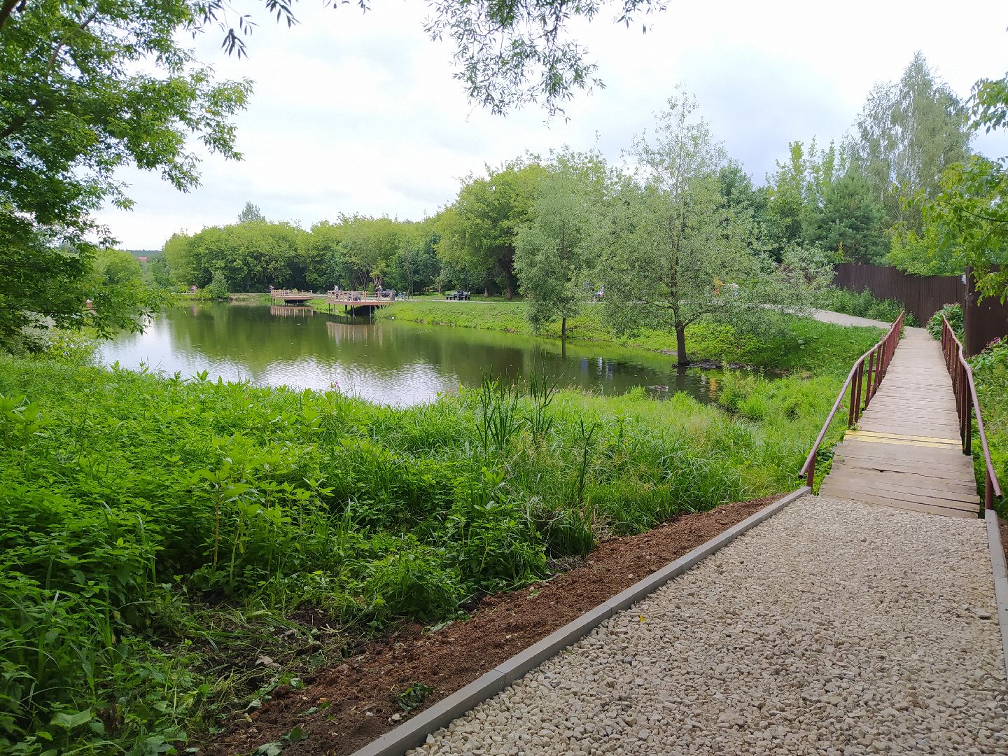 Дедовск, тропинка, пруд