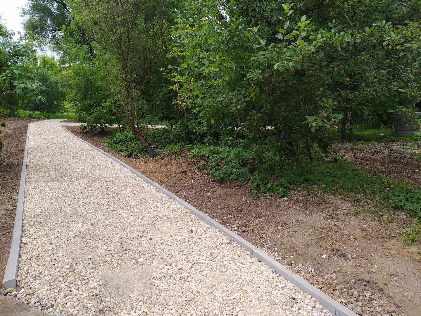 Дедовск, тропинка, пруд