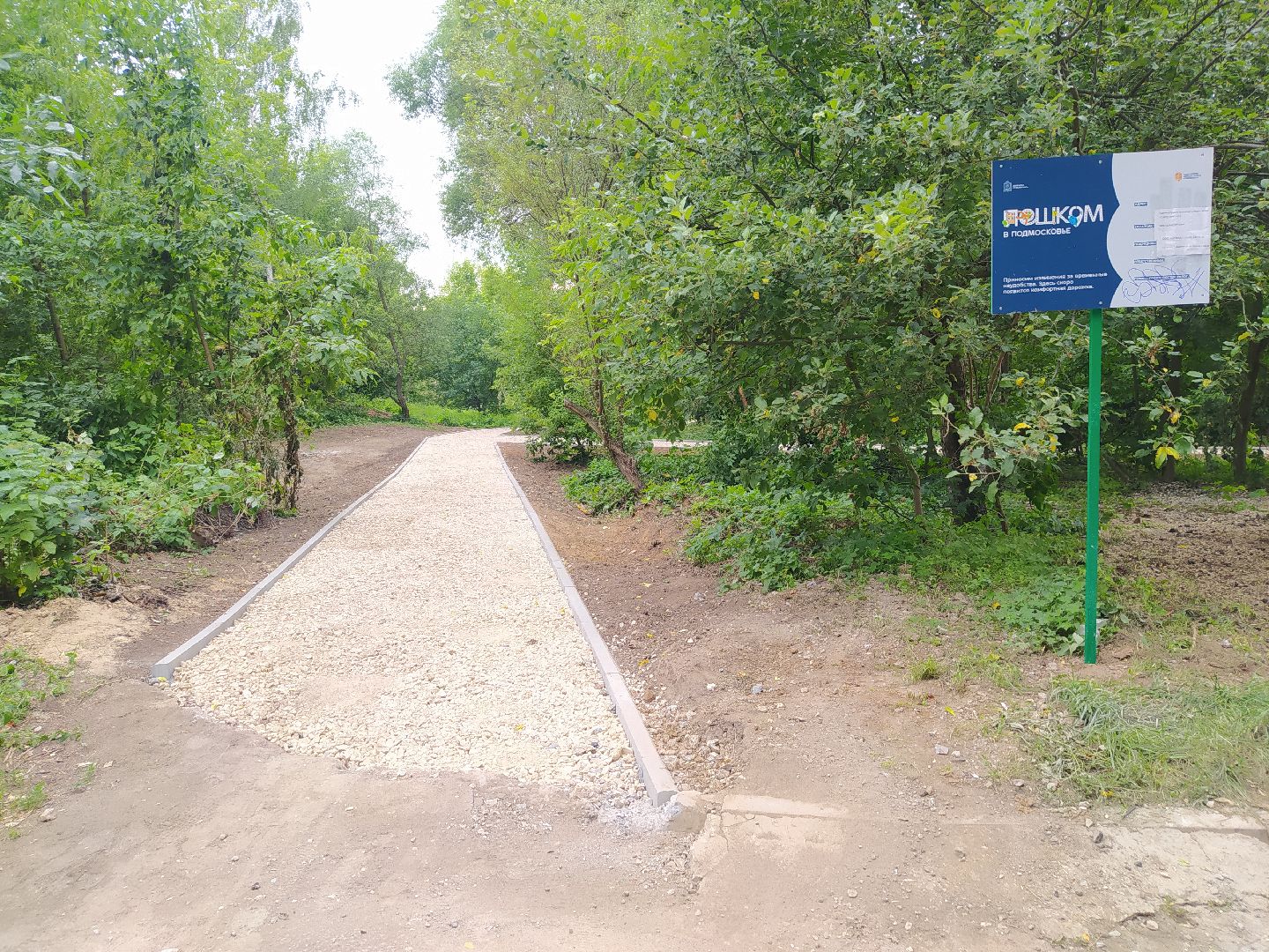 Дедовск, тропинка, пруд