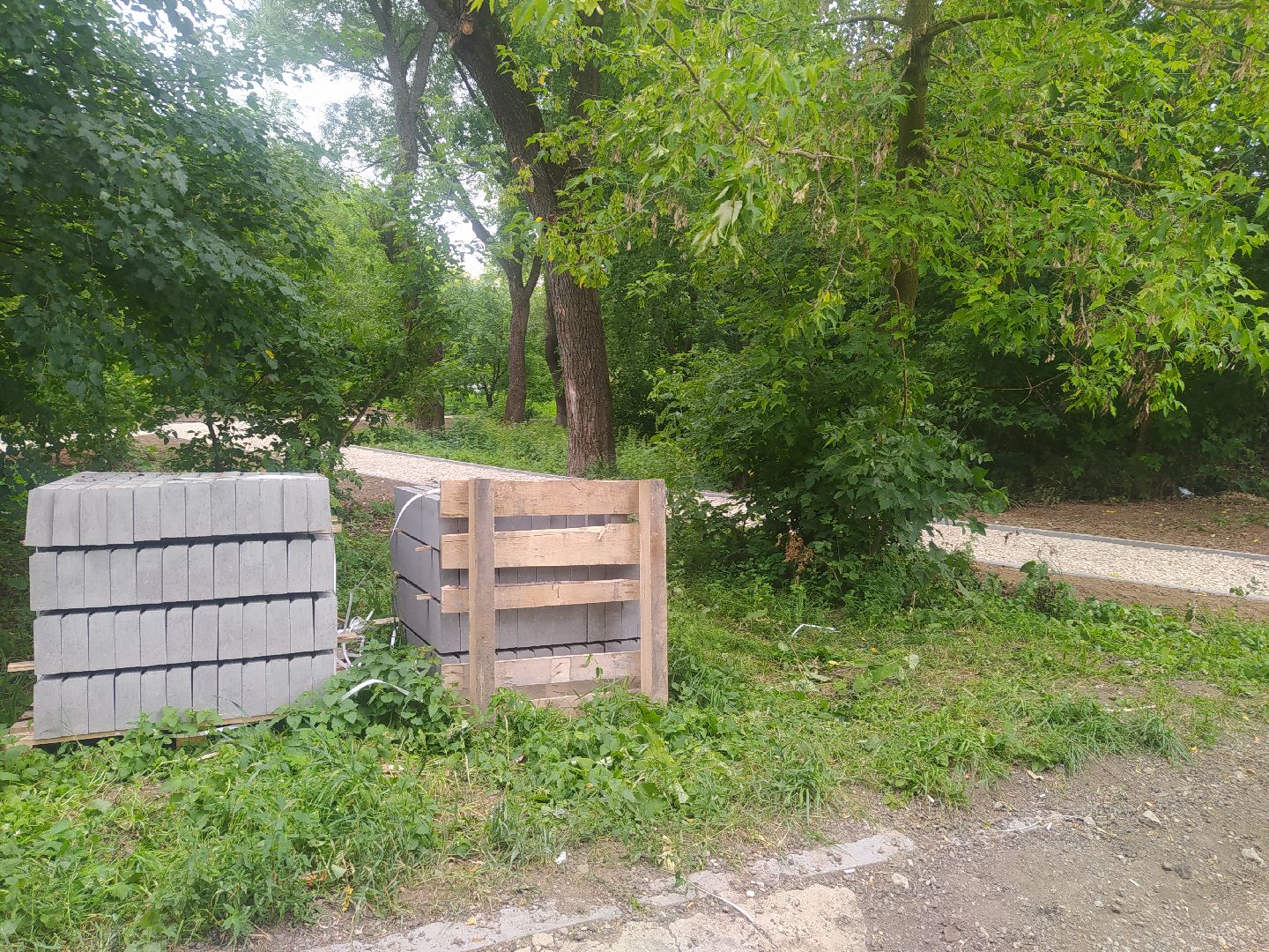 Дедовск, тропинка, пруд