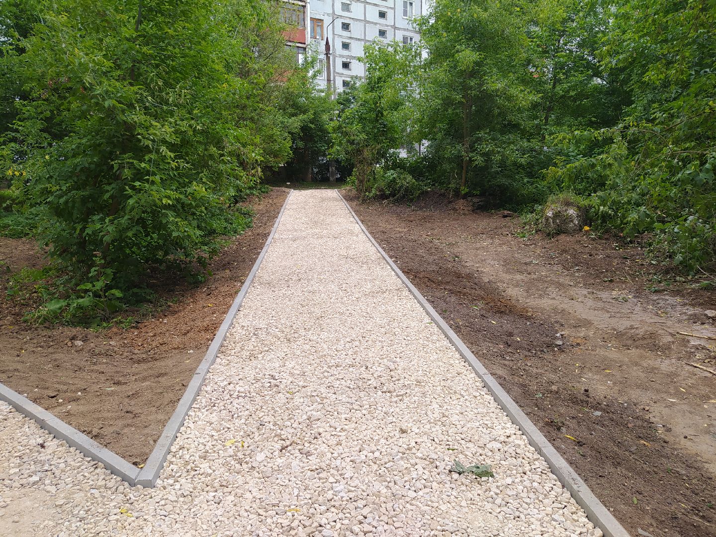 Дедовск, тропинка, пруд