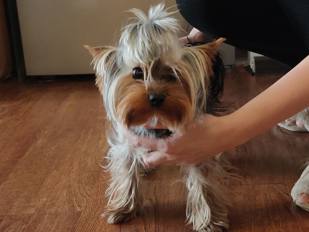 педагог, раменский детский сад, детсад, Социальная ипотека, программа, Раменское