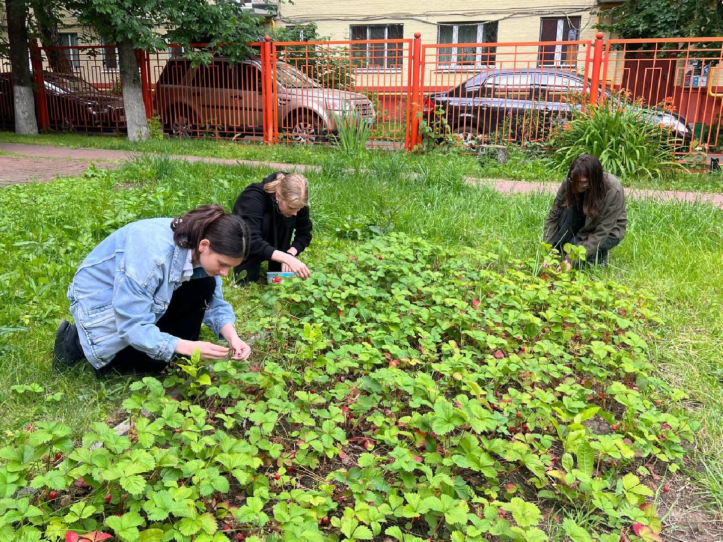 Реутов, трудоустройство, зарплата, деньги, график, школьники