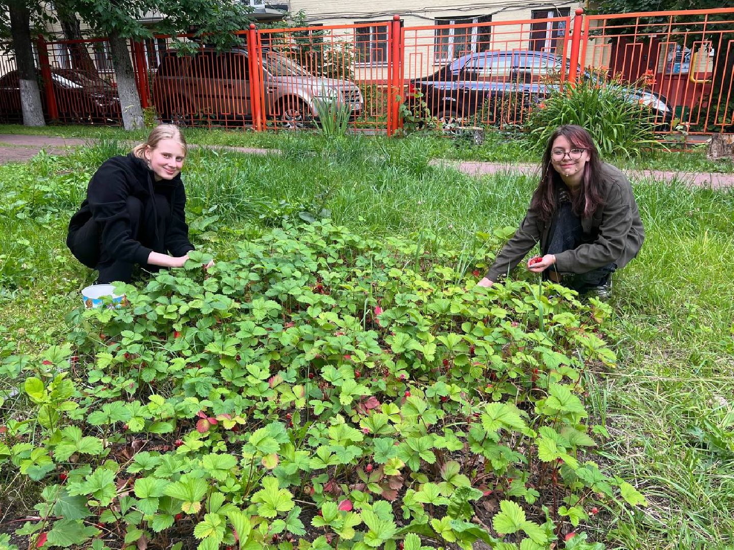 Реутов, трудоустройство, зарплата, деньги, график, школьники